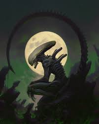 Image result for xenomorph
