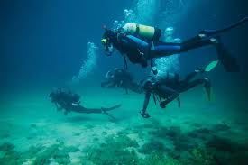 Image result for Duchy Divers