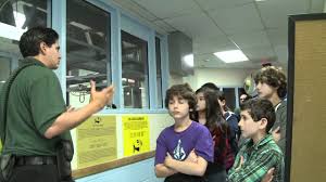 Attēlu rezultāti vaicājumam “juvenile”