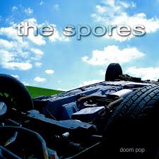 Attēlu rezultāti vaicājumam “Diderma montanum var. album spores”