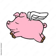 Image result for flying pigs
