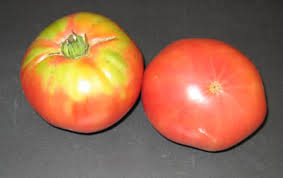 Afbeeldingsresultaat voor caspian pink tomato