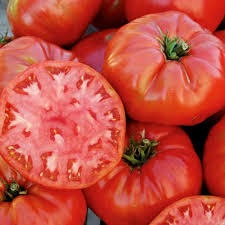 Afbeeldingsresultaat voor mortgage lifter bicolor strain tomato
