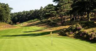 Image result for Hindhead Golf Club
