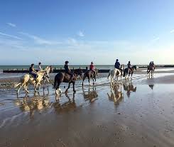 Image result for Thames Valley Riding Club