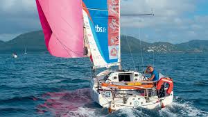 Image result for Pogo minitransat