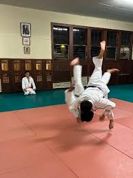 Image result for Hoghton Judo Club