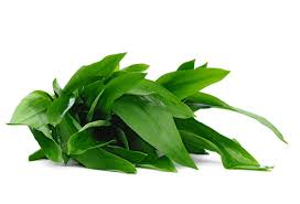 Image result for Bärlauch