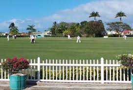 Image result for Downe Cricket Club