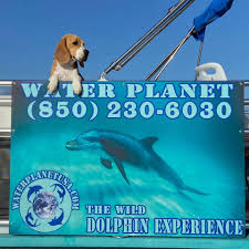 Image result for Wild Water Planet