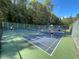 Image result for Mid Kent Pickleball