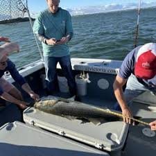 Image result for SHIRLEY SEA ANGLING CLUB