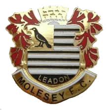 Image result for Molesey Juniors Football Club