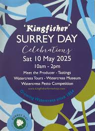 Image result for Leatherhead Swans Club