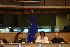 Image result for Amelia Andersdotter