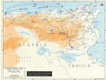 The Tunisia Campaign  Battle of Tunisia  Maps November 17 1942