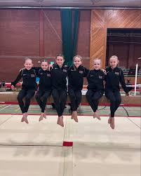 Image result for Tamworth Olympic Gymnastics Club