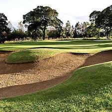 Image result for Hartlepool Gc