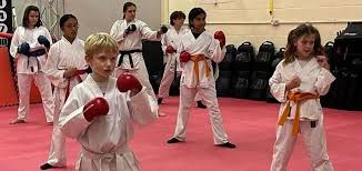 Image result for Colchester Shotokan Karate Club