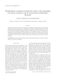 Attēlu rezultāti vaicājumam “Bryum neodamense”