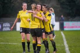 Image result for Haywards Heath Town Ladies Football Club