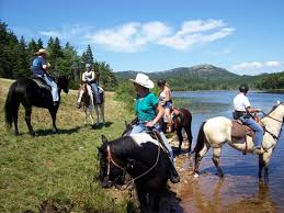 Image result for Bookham Riding Club