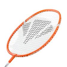 Image result for Quedgeley Badminton Club