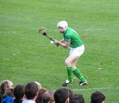 Image result for World of Shinty