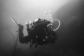 Image result for Reading Bsac