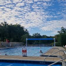 Image result for Ware Swimming Club