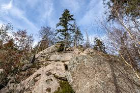 Image result for intemperismo