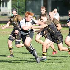 Image result for Sutton & Epsom Rugby Football Club