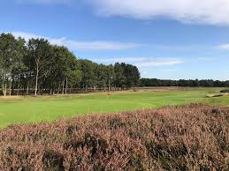 Image result for Alwoodley Golf Club