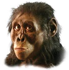 Image result for lucy