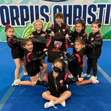 Image result for Gym Stars Cheerdancing Club