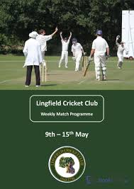 Image result for Lingfield Cricket Club