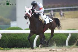 「ファランギース」の画像検索結果