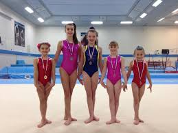 Image result for Wyre Forest School Of Gymnastics