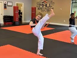 Image result for Martial Arts University Charlotte