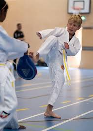 Image result for Epsom and Leatherhead Martial Arts