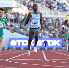 Image result for Tobogo