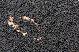 Image result for insect poop