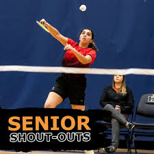 Image result for Tara Sports Badminton Club