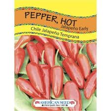 Afbeeldingsresultaat voor jalapeno early hot pepper