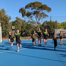 Image result for Zodiac Netball Club