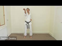 Image result for Kenshukai Karate