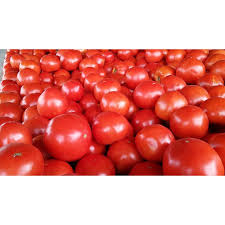 Afbeeldingsresultaat voor anna russian tomato