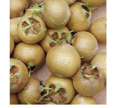 Attēlu rezultāti vaicājumam “Mespilus germanica fruit”