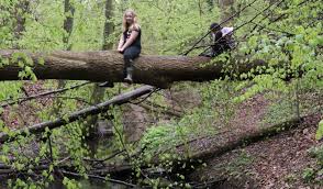 Image result for Kids Run Free