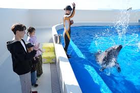 「海神往紗馳」の画像検索結果